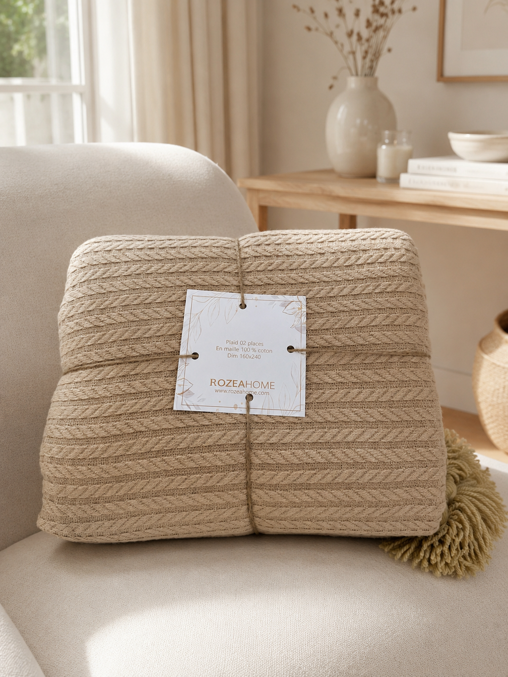Plaid BEIGE FONCÉ+ 1 housse de coussin